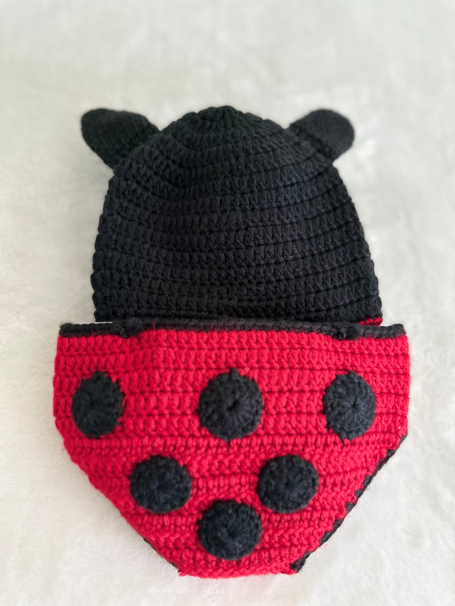 Lovely Lady Bug Baby Set