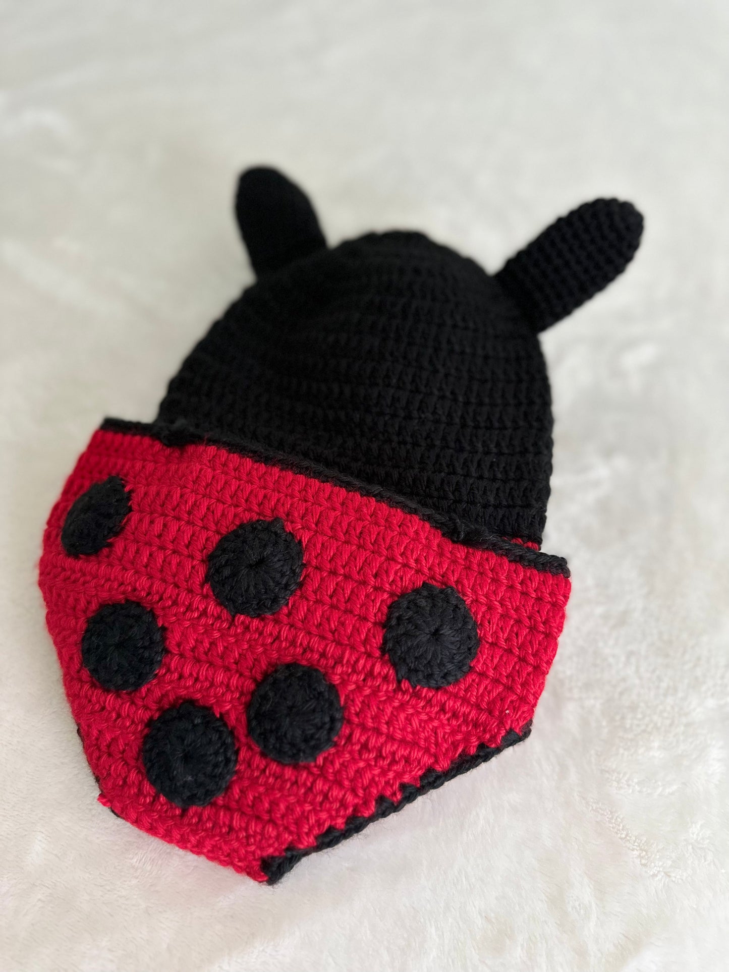 Lovely Lady Bug Baby Set