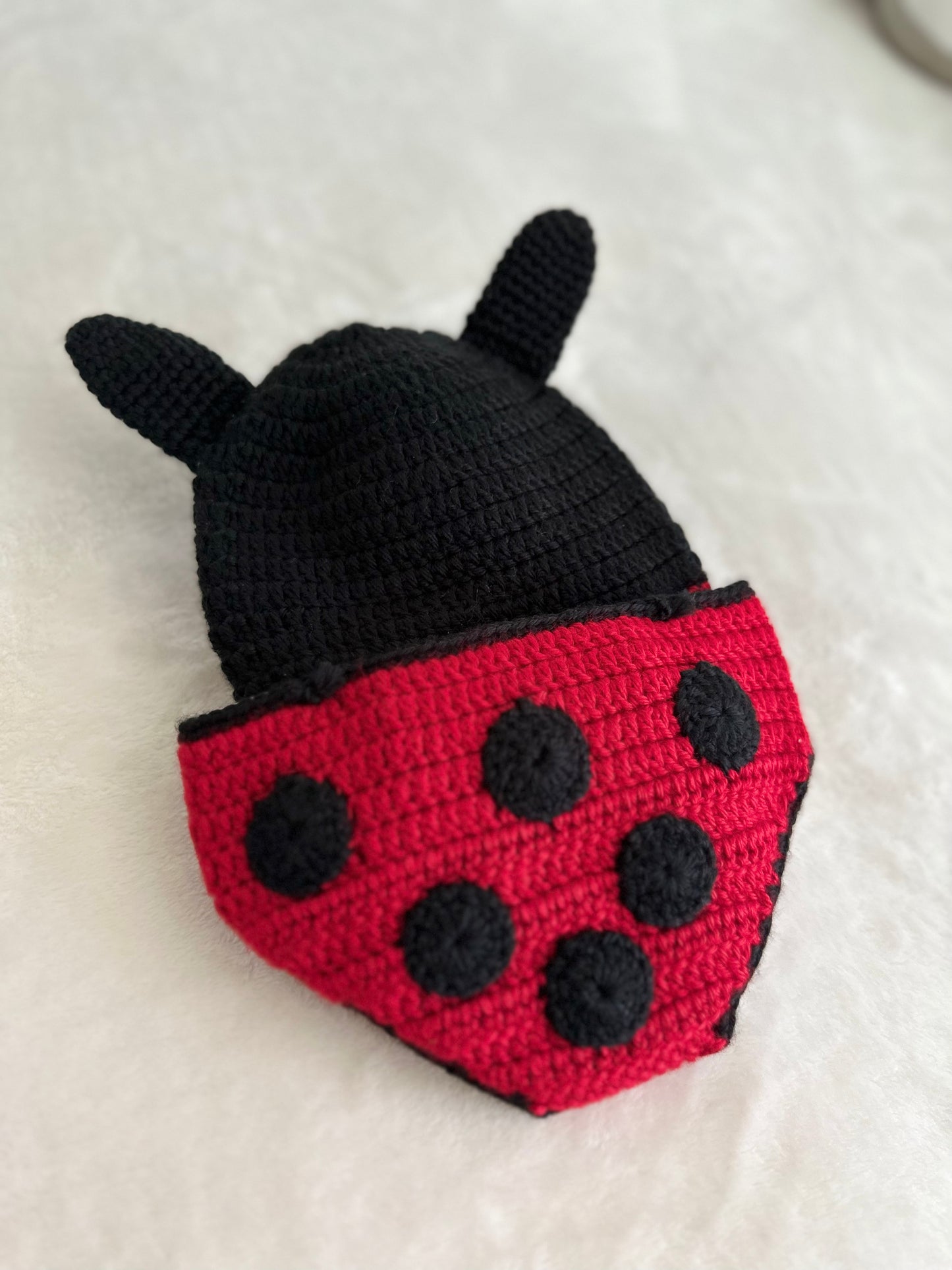 Lovely Lady Bug Baby Set